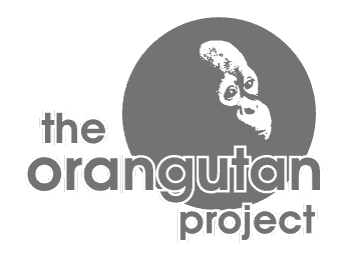The Orangutan Project